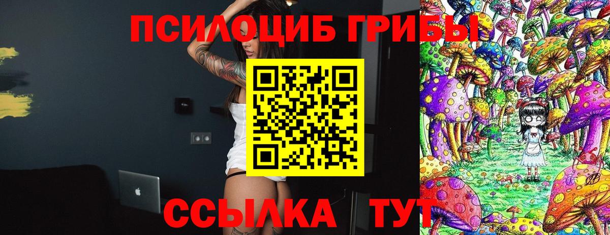 купить закладку  Псилоцибиновые грибы мицелий  Вход с VPN  Калининград 